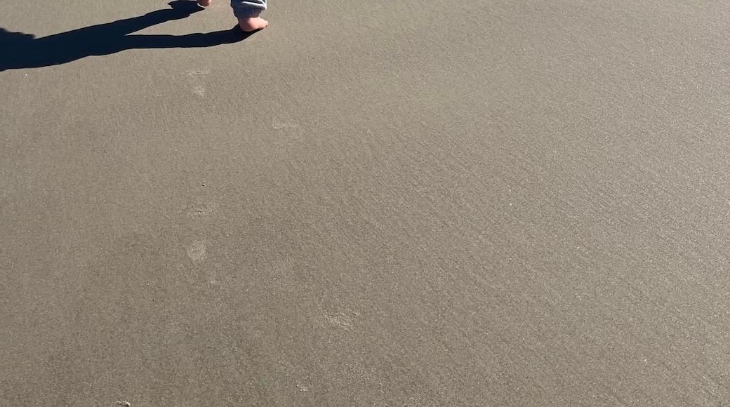 Fish Pass - Corpus Christi Texas