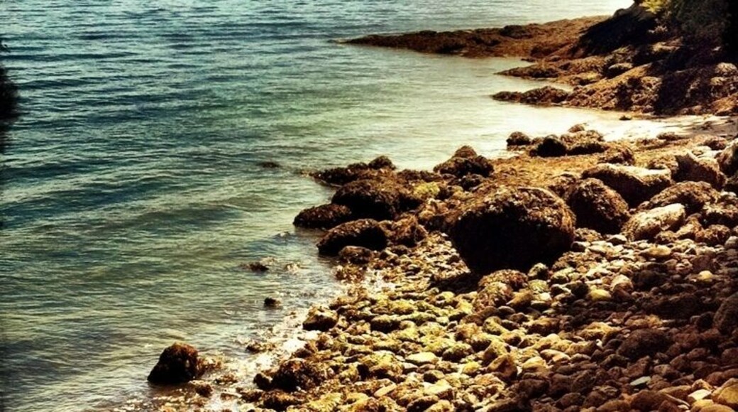 Great views, I guess u can see Seattle from here