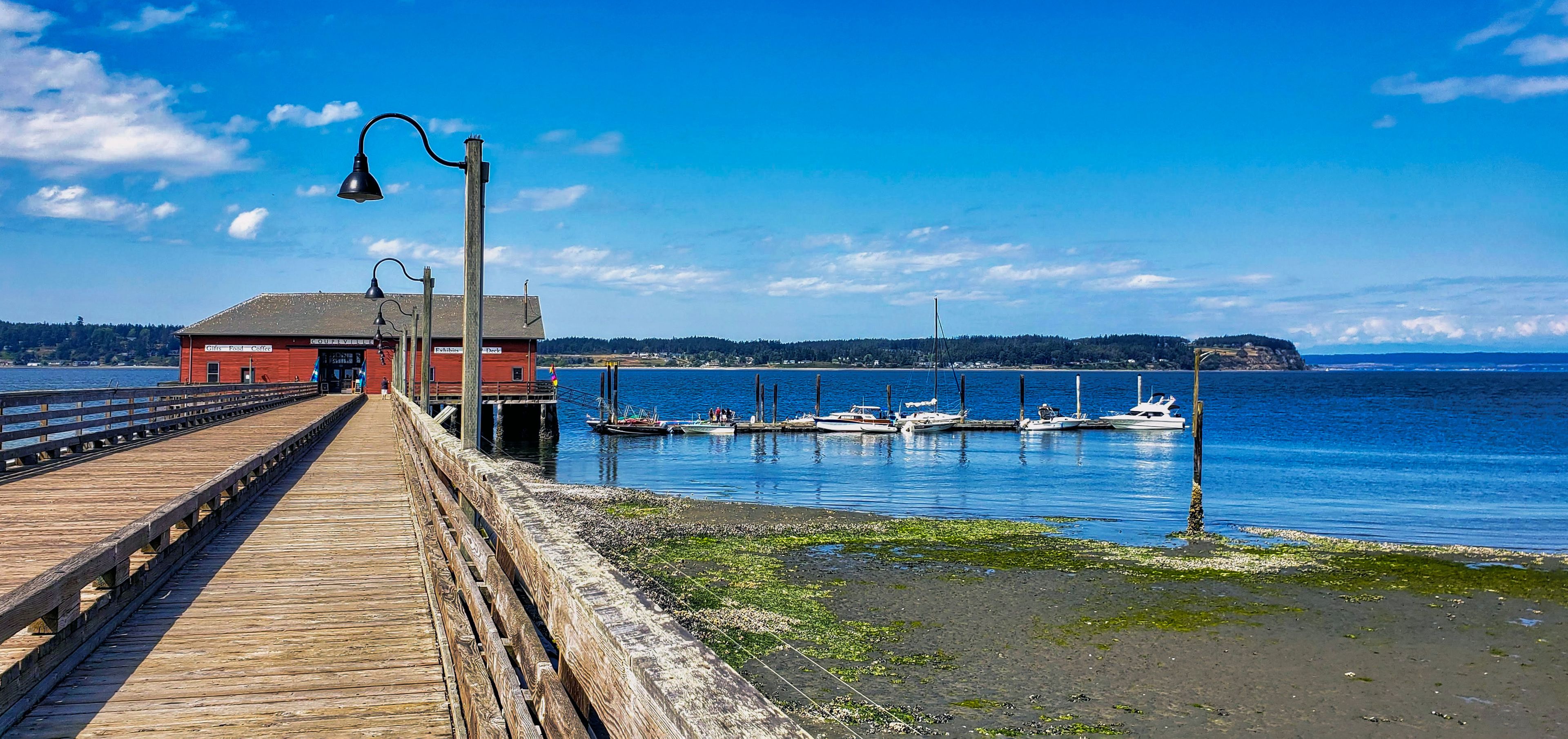 pier on the sea