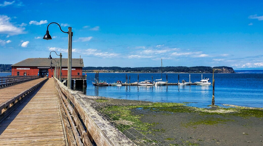 pier on the sea