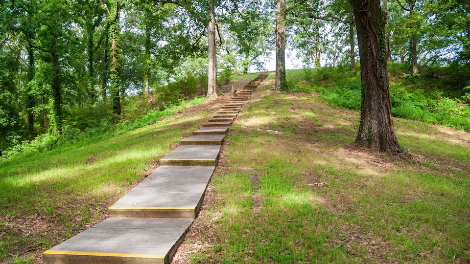 A concrete staircase ascending a grassy hill surrounded by trees.