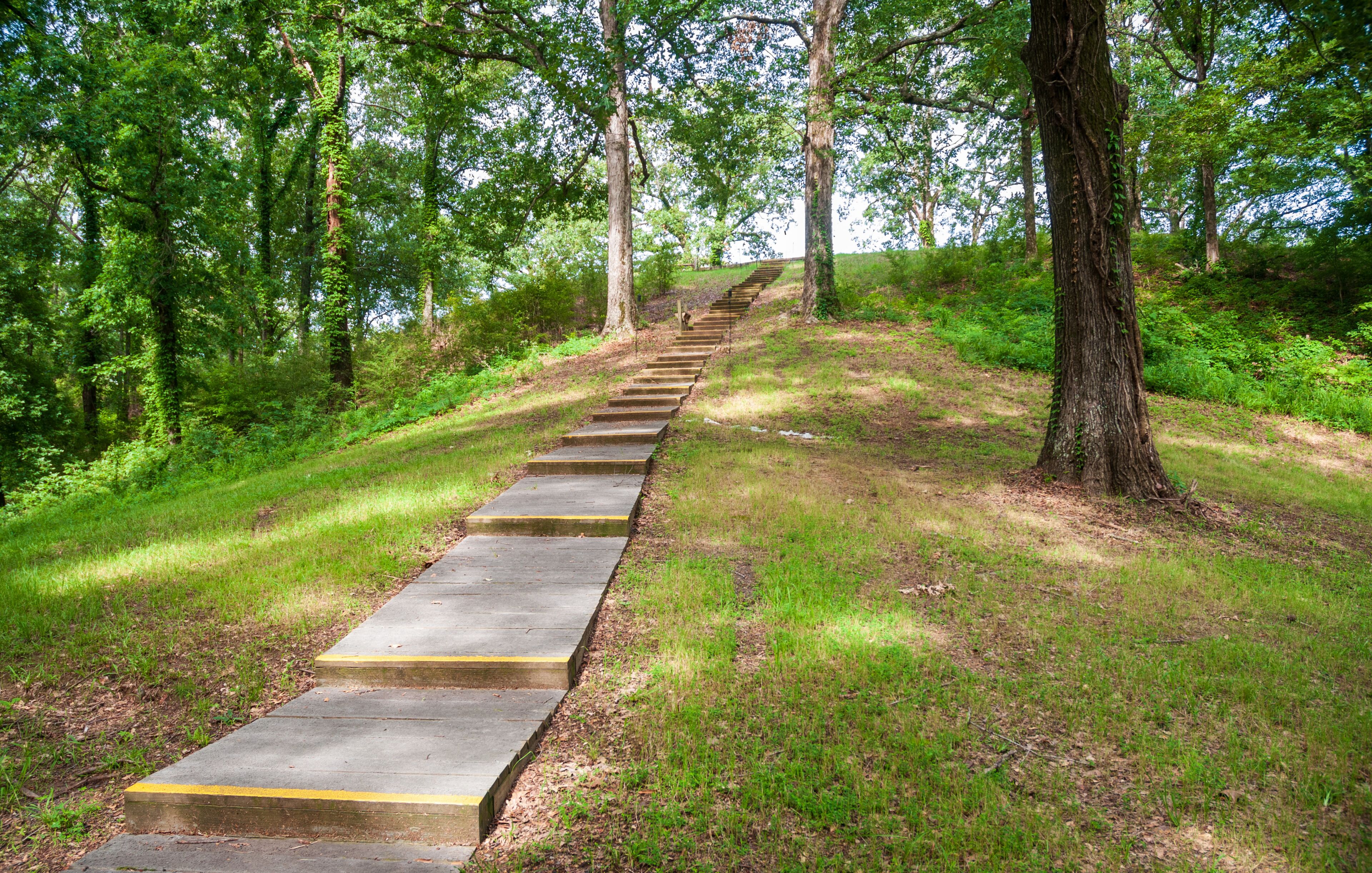 A concrete staircase ascending a grassy hill surrounded by trees.