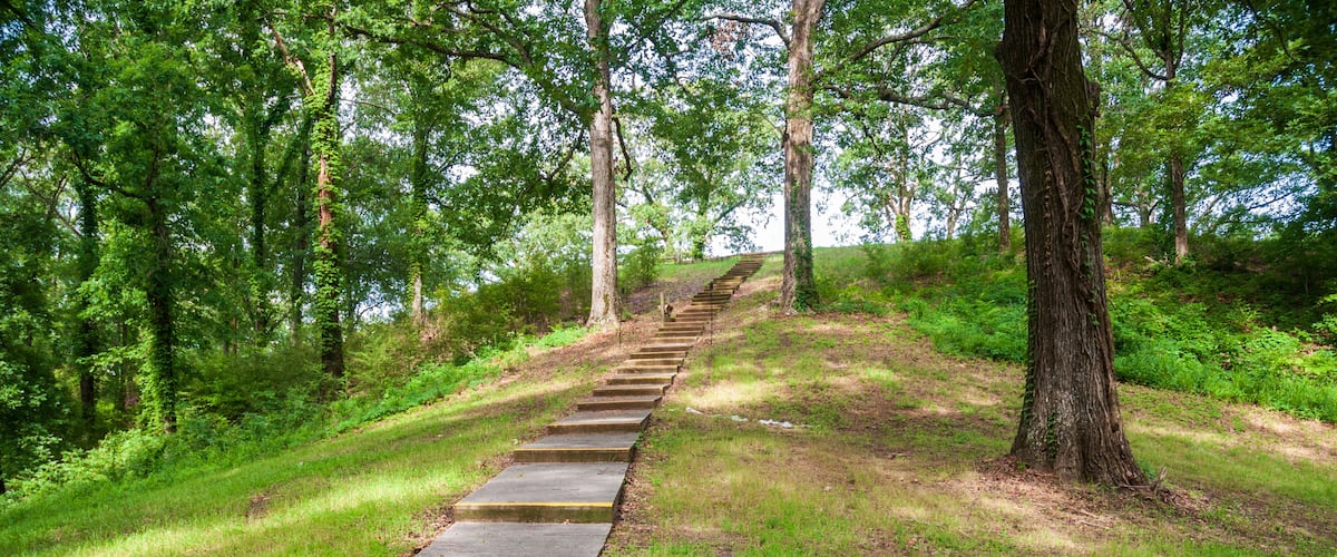 A concrete staircase ascending a grassy hill surrounded by trees.