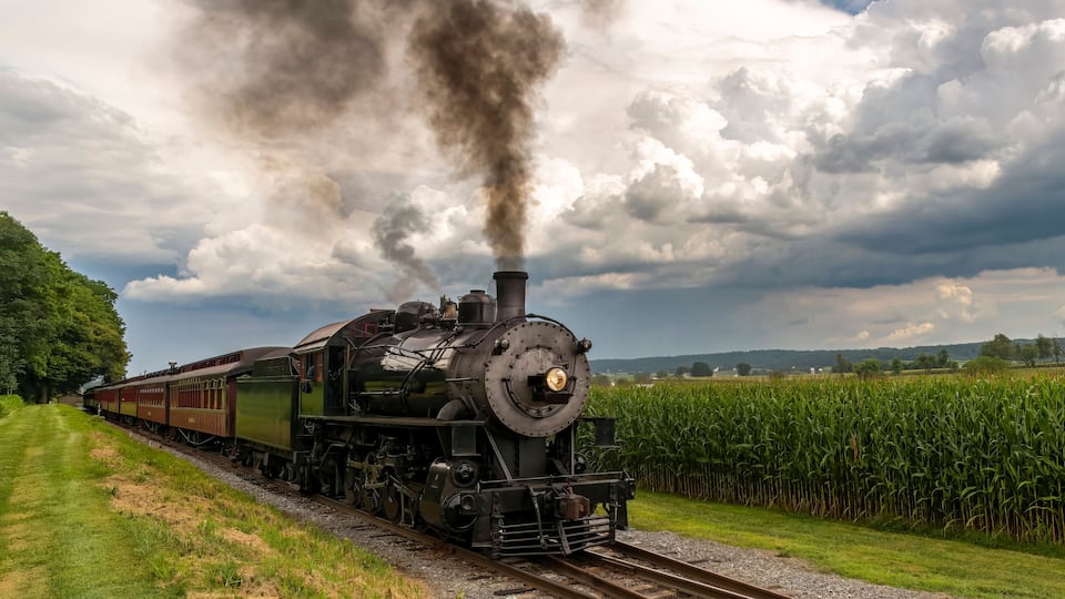 A steam locomotive with cargo cars, emitting smoke, traveling through a rural landscape with a cornfield and a line of trees.