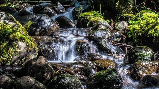 Was visiting Sandy, Oregon and found this adorable little hiking trail. The light poking trough on this beautiful waterfall.
#Adventure