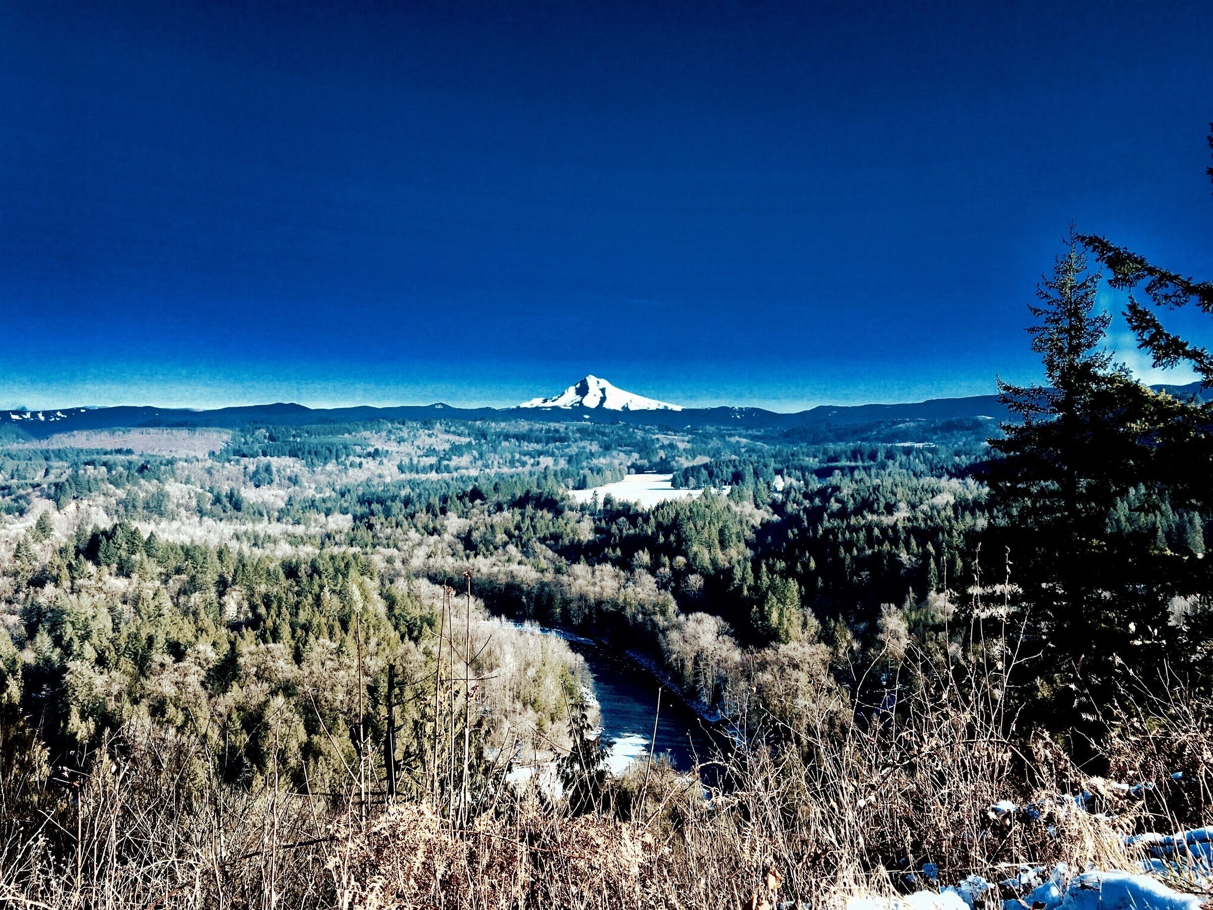 Only a view point🚧
Blue Bird 
Almost always Morning fog for you early birds 