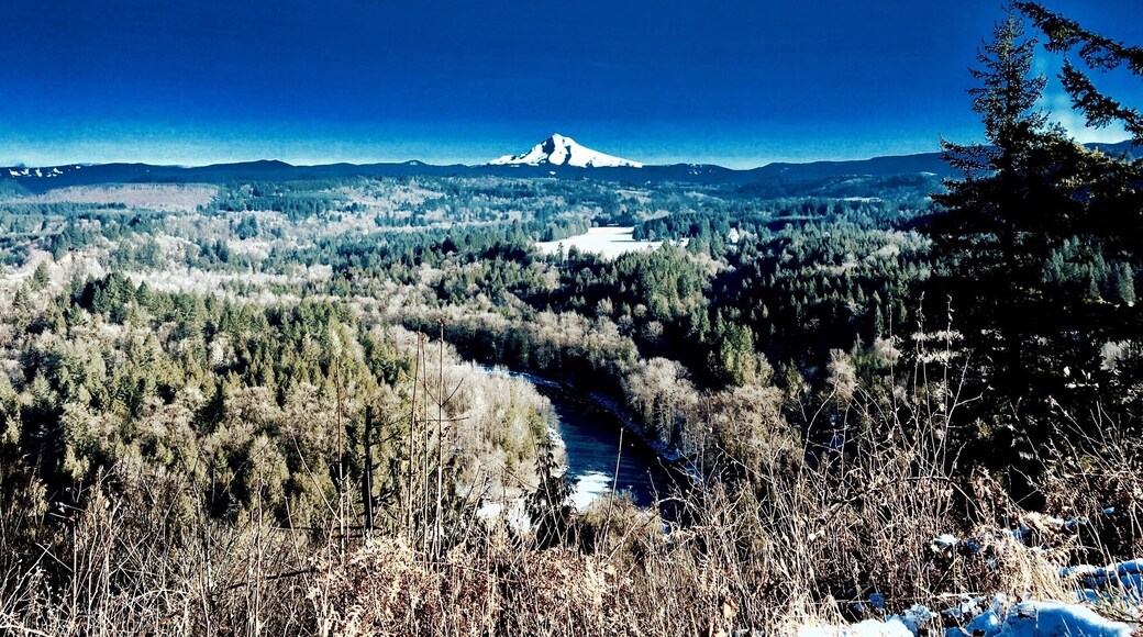 Only a view point🚧
Blue Bird
Almost always Morning fog for you early birds