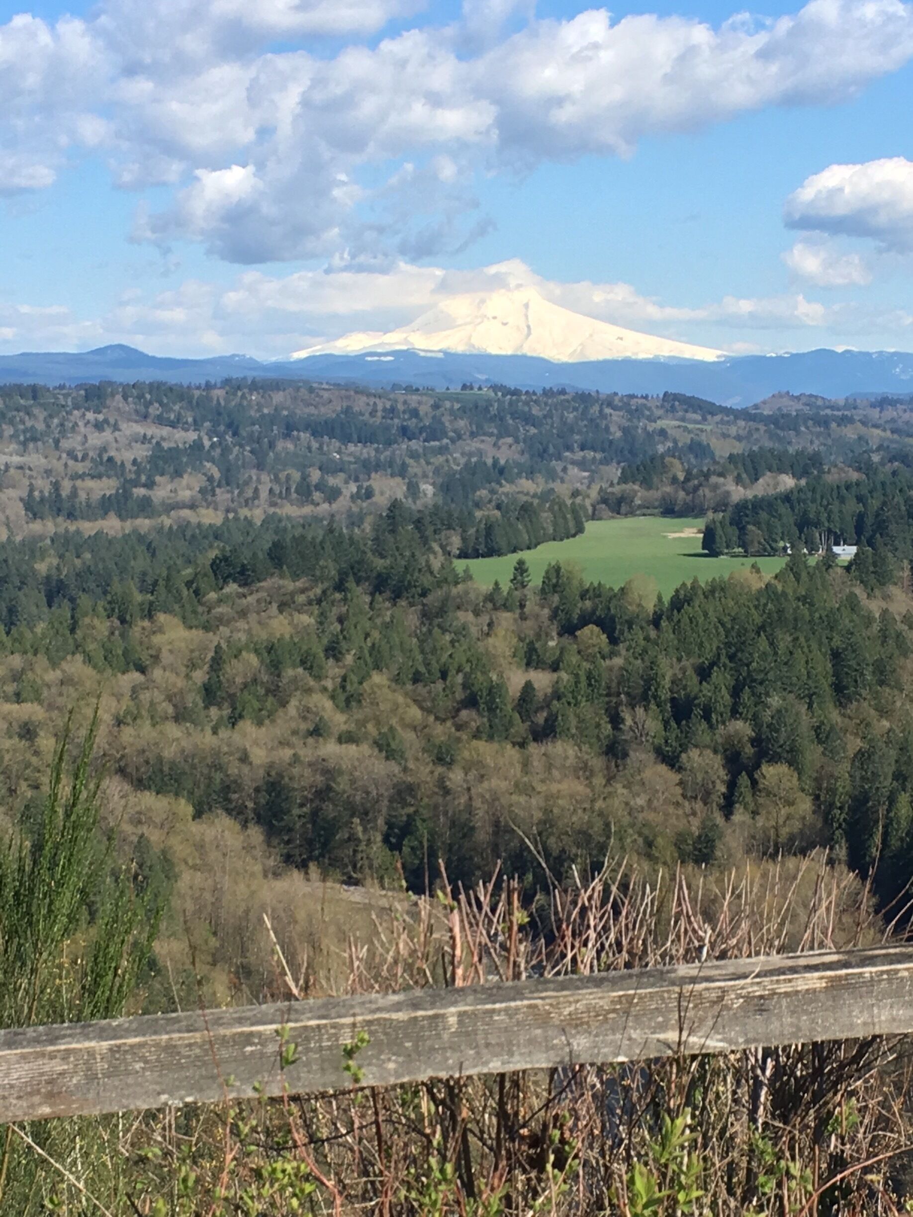 On a beautiful day, the Jonsrud viewpoint is the perfect place to pull off the road and admire Mt. Hood