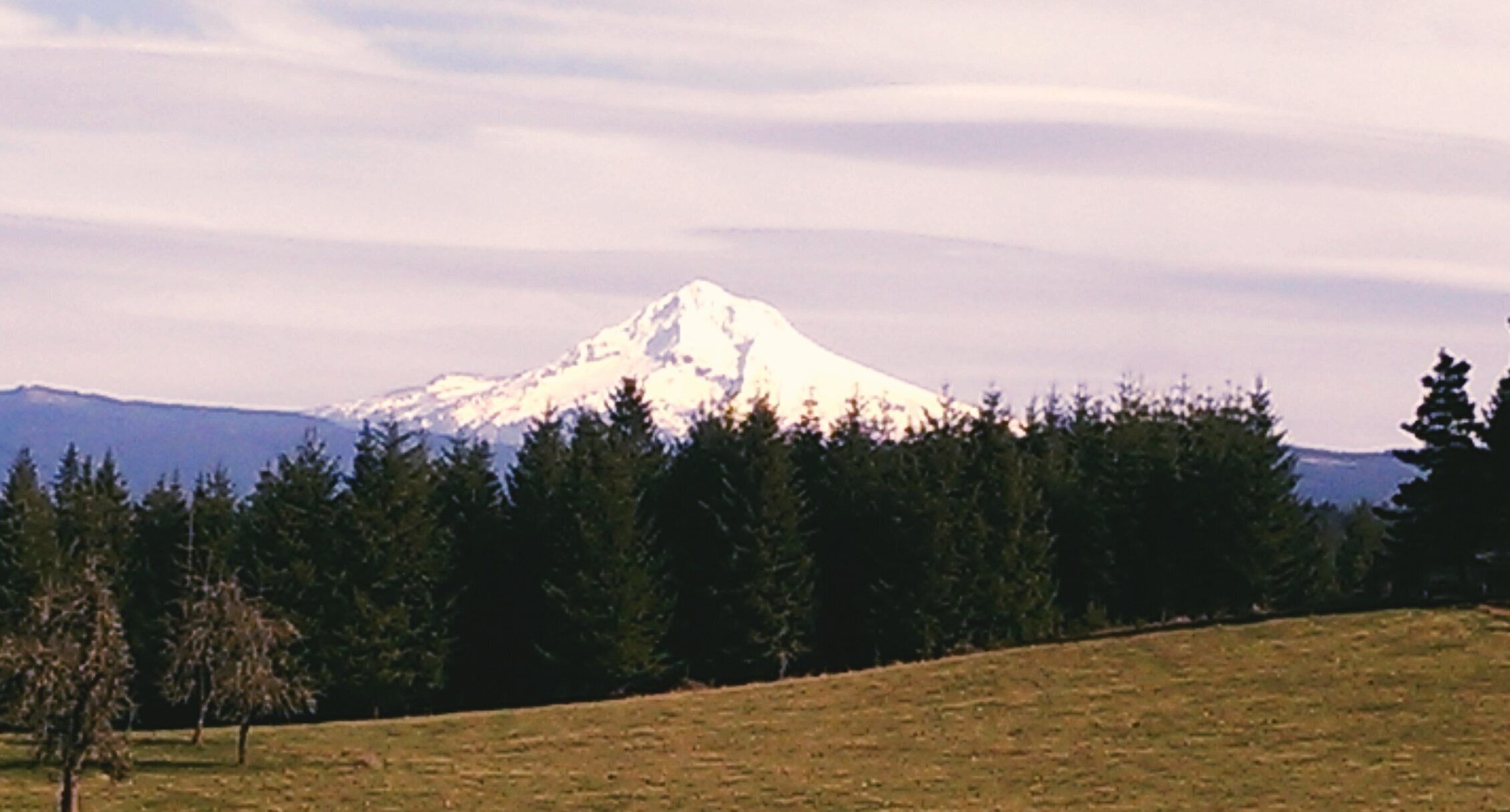 Mt Hood in the distance on a fall day. I love the differences in the Oregon landscape
