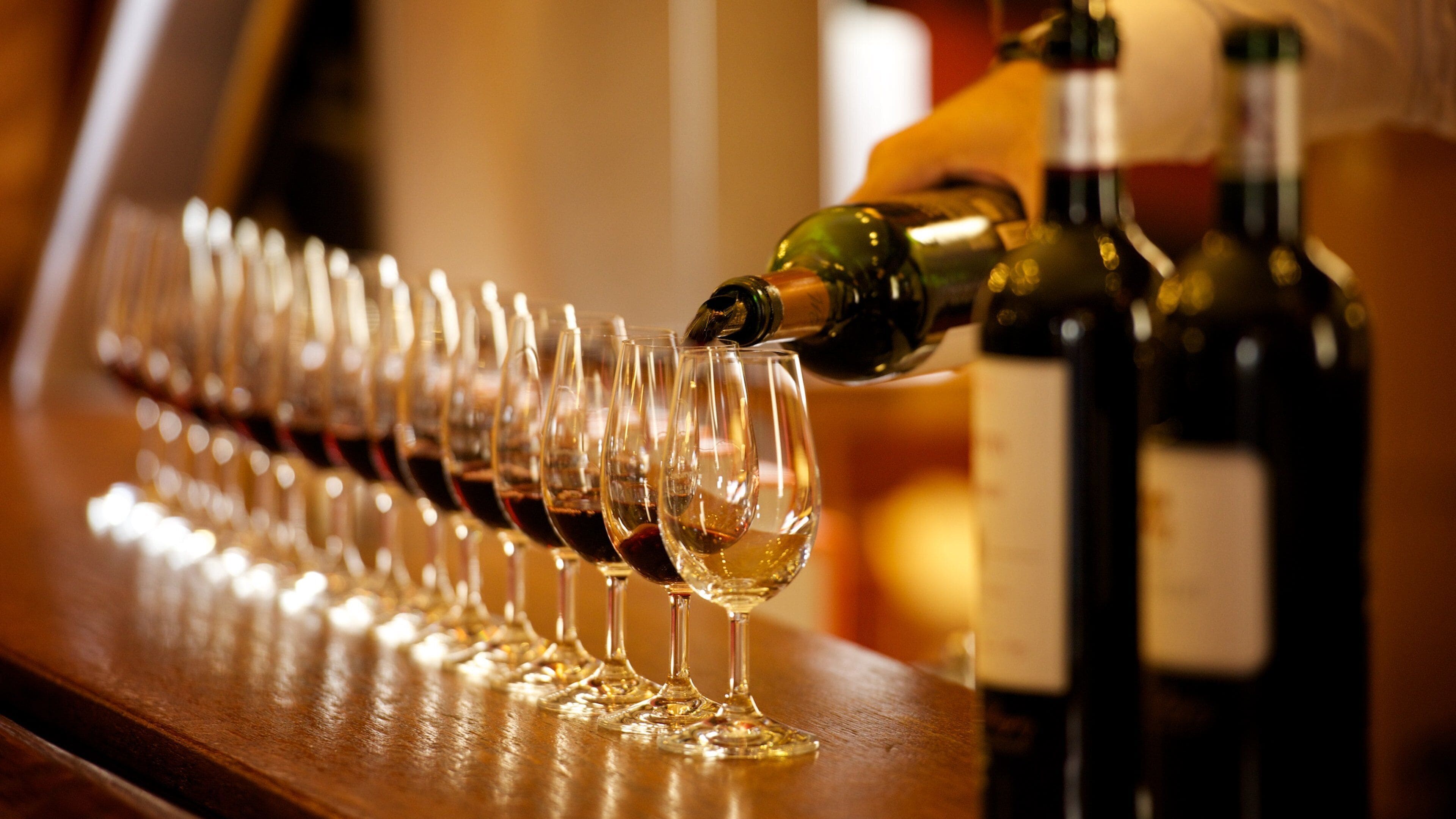 Pessac showing drinks or beverages