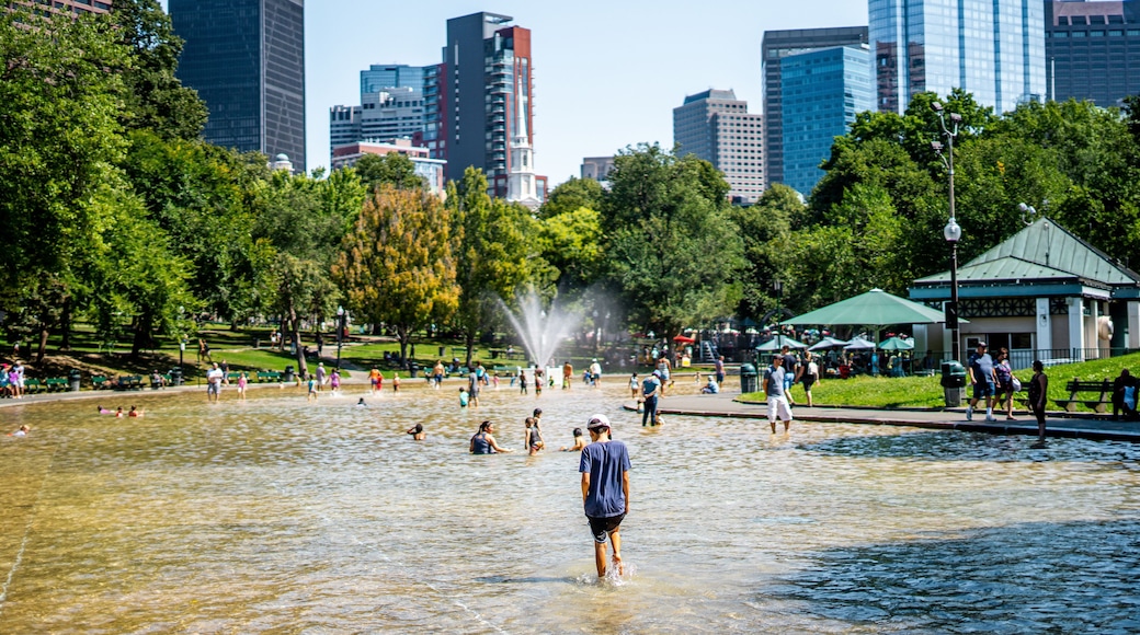 Sunny day in Boston common , one of the most famous park in town , Boston , Massachusetts , United States of America