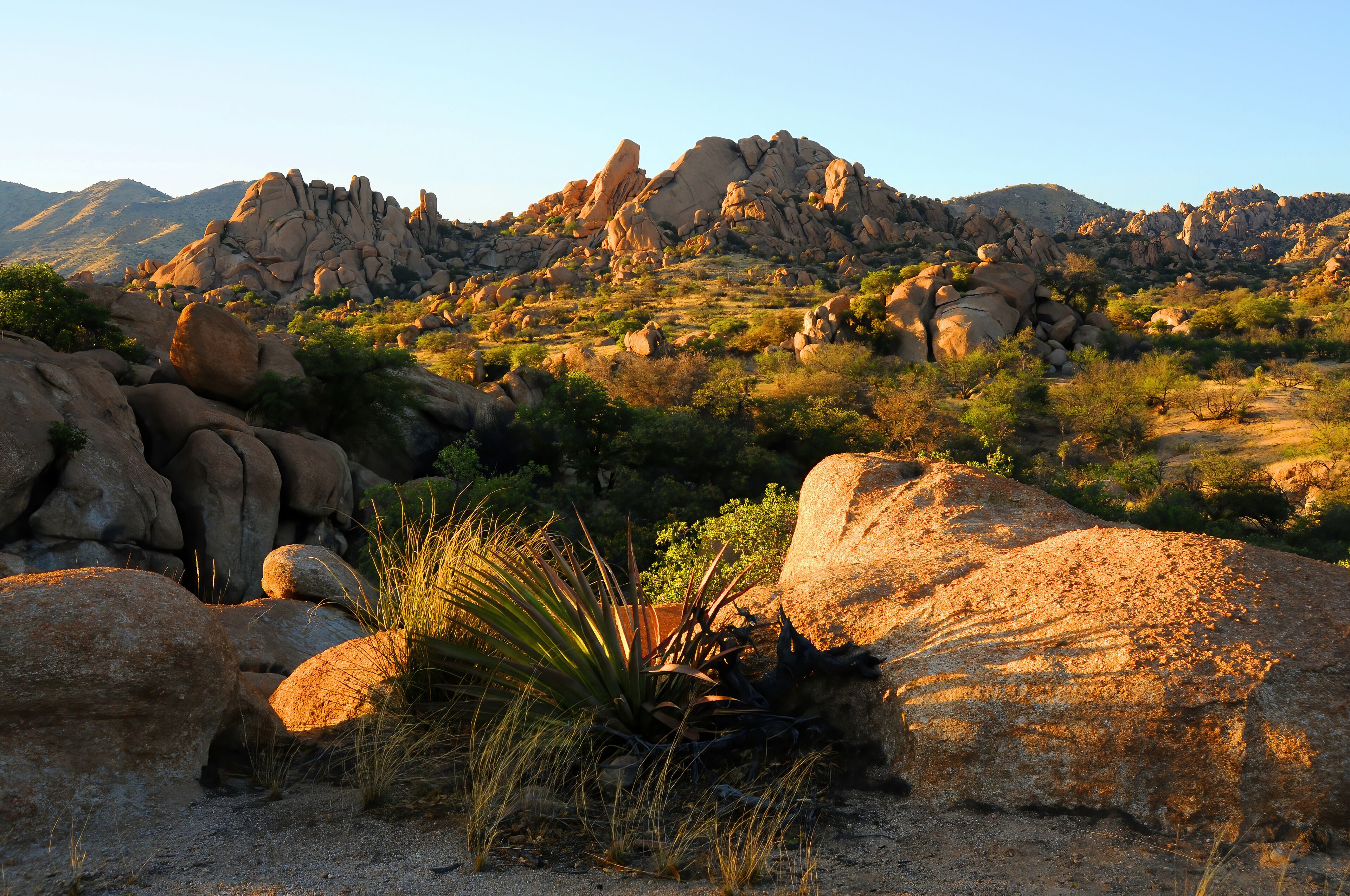 Texas Canyon Sonora Desert Arizona Sunset