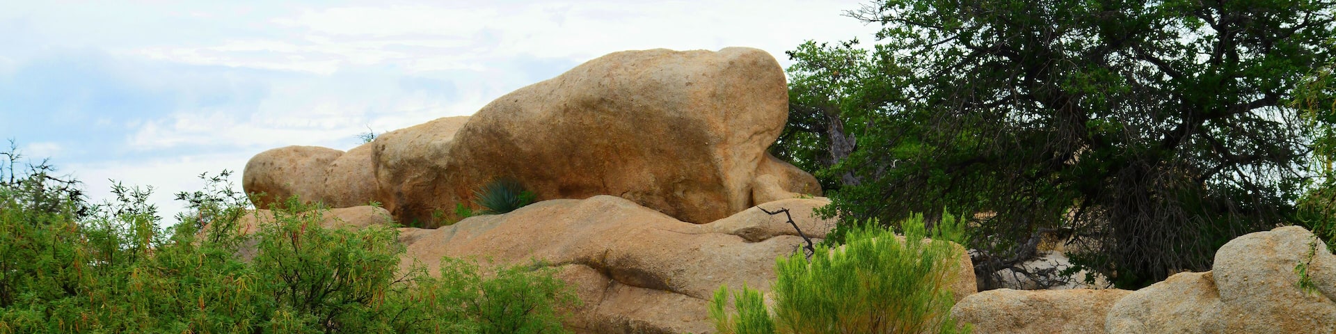 Texas Canyon Sonora Desert Arizona