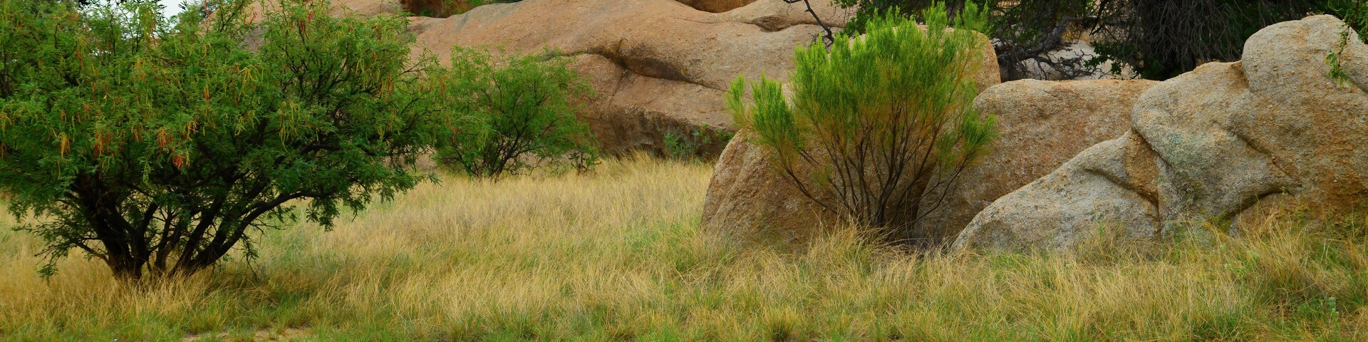 Texas Canyon Sonora Desert Arizona