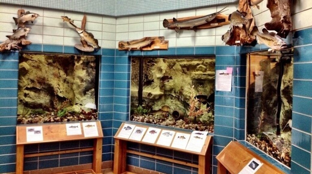 Tour the displays and spawning process at the Iowa Great Lakes Fish Hatchery.