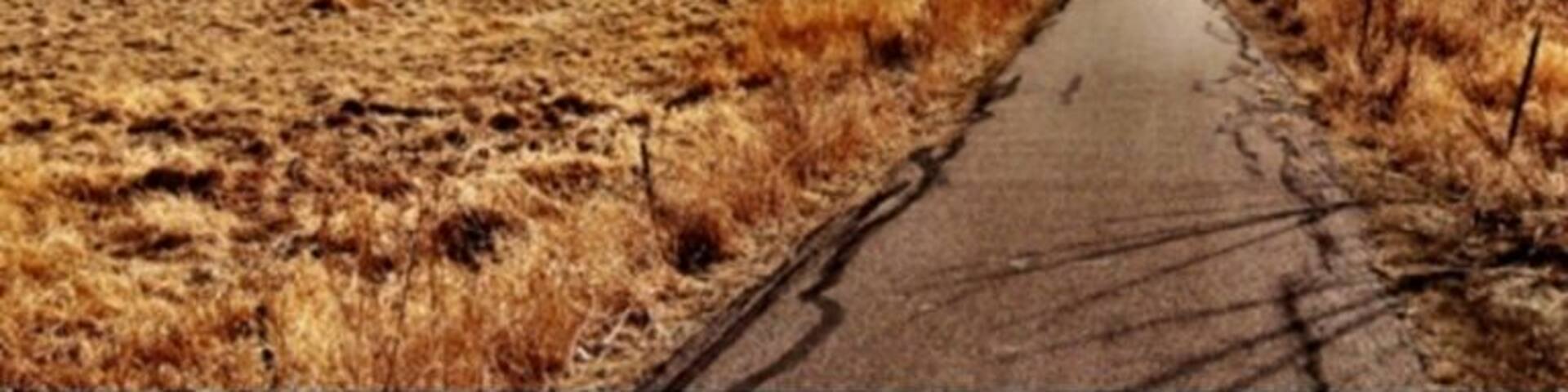 Bike Trail winding through golden fields and wetland.