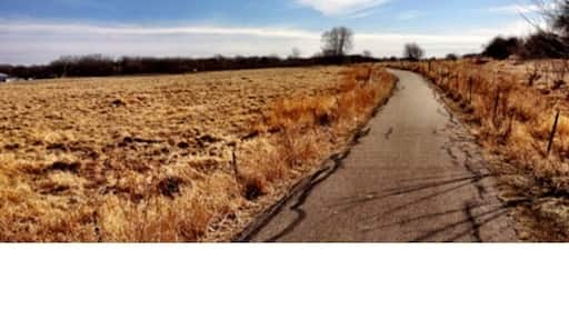 Bike Trail winding through golden fields and wetland.