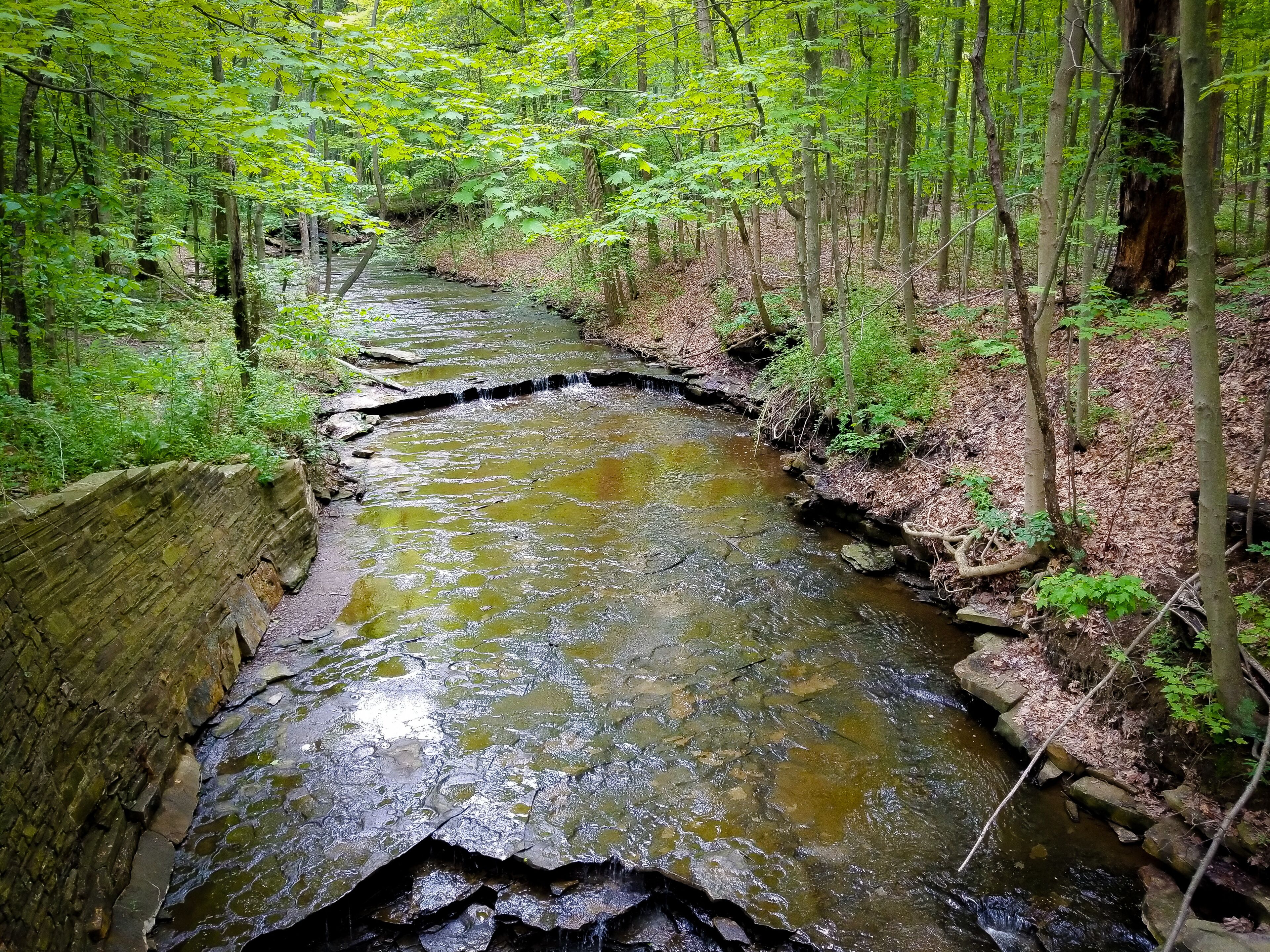 Stream in the middle of the woods of the Cleveland Metroparks in Ohio