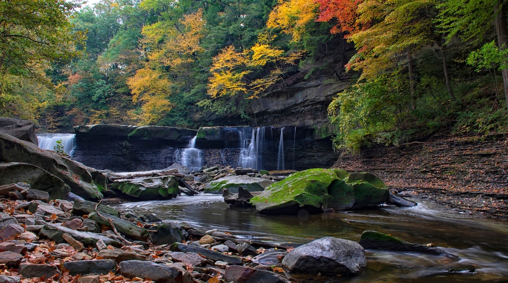 ストリーツボロ