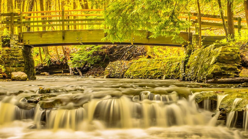 A wooden bridge over a flowing stream in a forested area.
