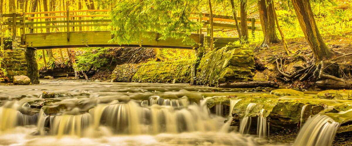 A wooden bridge over a flowing stream in a forested area.