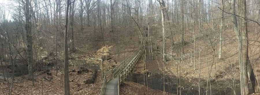 The boardwalk crossing the ravine inside Hogback Ridge Nature Preserve, a 41 acre nature preserve. One of the Preservation Parks of Delaware County, OH. A collection of smallish preserves around the county protecting various natural features and providing a quick escape from urban sprawl.