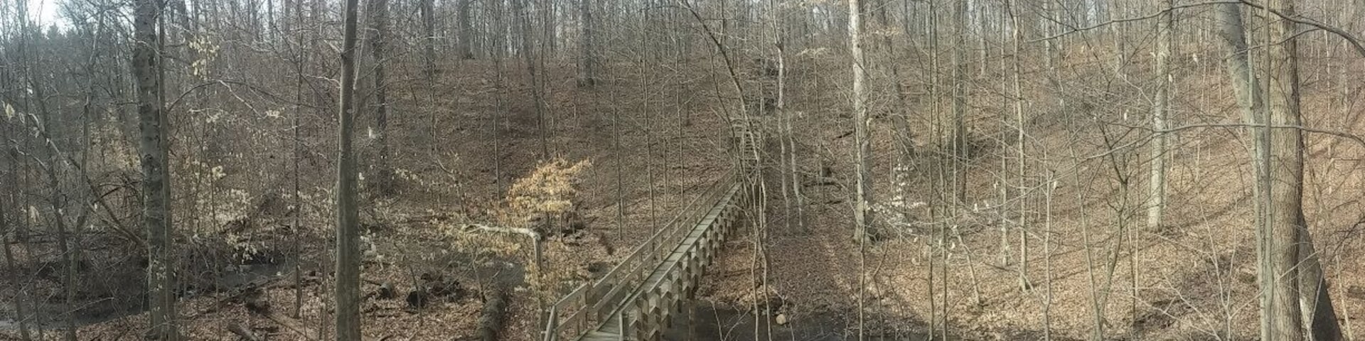 The boardwalk crossing the ravine inside Hogback Ridge Nature Preserve, a 41 acre nature preserve. One of the Preservation Parks of Delaware County, OH. A collection of smallish preserves around the county protecting various natural features and providing a quick escape from urban sprawl.