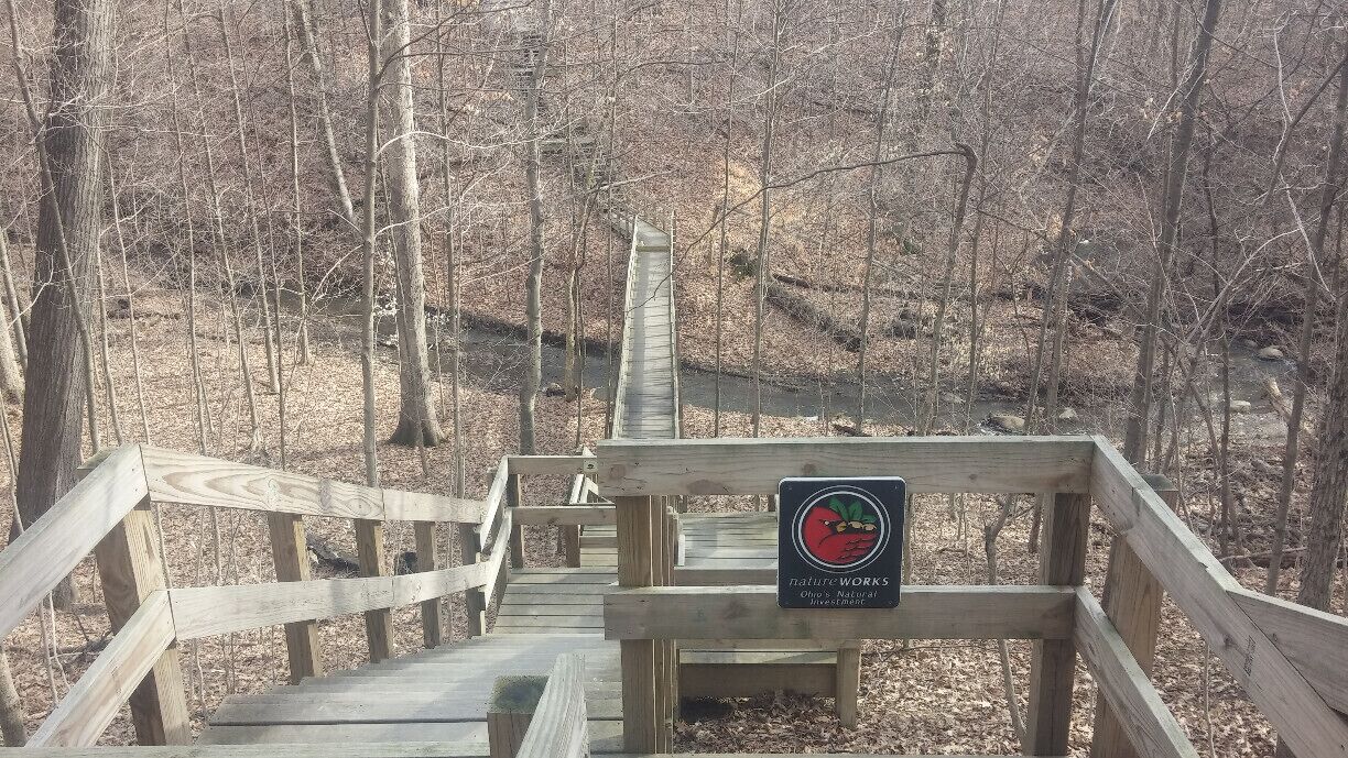 The boardwalk crossing the ravine inside Hogback Ridge Nature Preserve, a 41 acre nature preserve. One of the Preservation Parks of Delaware County, OH. A collection of smallish preserves around the county protecting various natural features and providing a quick escape from urban sprawl. 