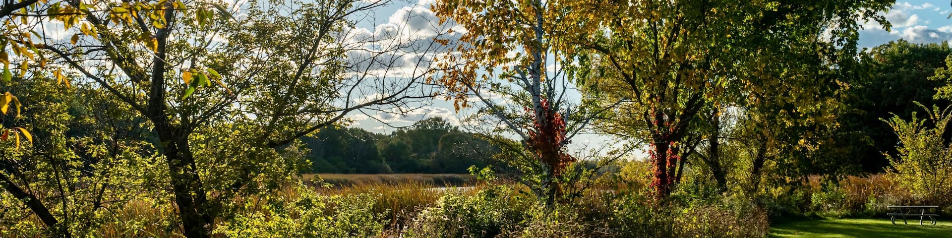 Early Autumn Foliage at Orland Grove Nature Preserve early in the evening before dusk