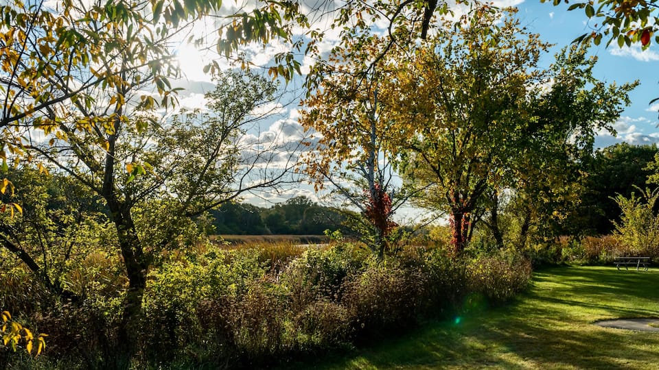 Early Autumn Foliage at Orland Grove Nature Preserve early in the evening before dusk