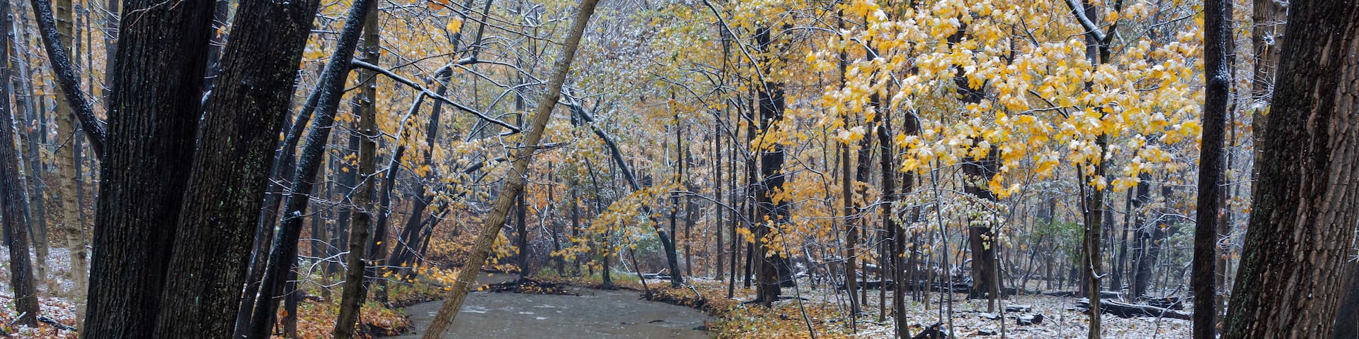 649-36 Hammel Creek Dusted in Snow