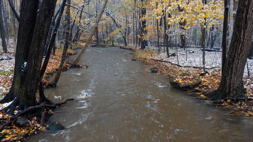 A river flowing through a forest with autumn-colored trees and fallen leaves.