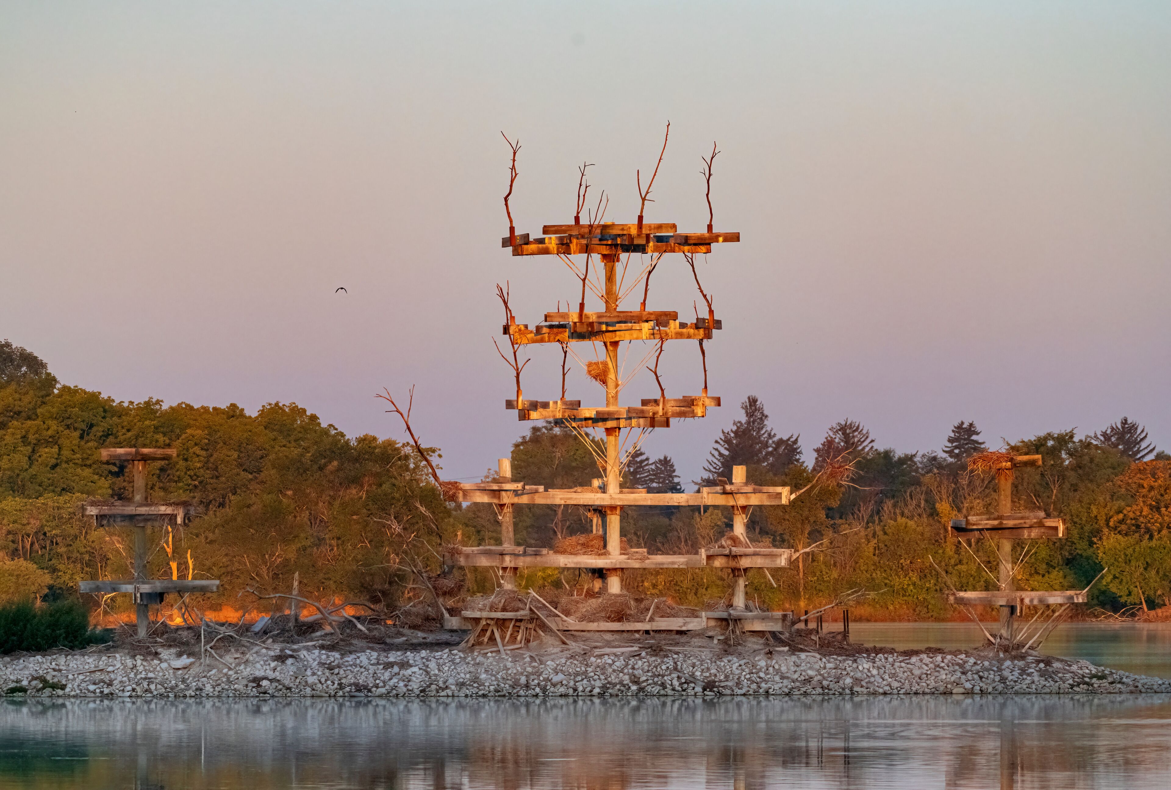 ทินลีย์พาร์ก