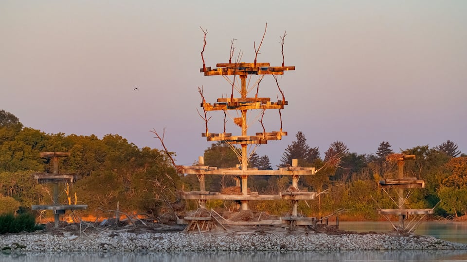 A multi-tiered wooden structure by a calm lake with trees in the background.