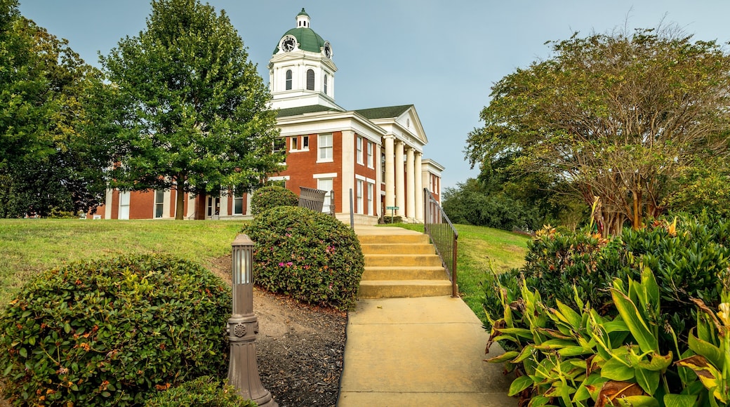 Toccoa