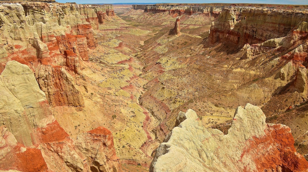 #Nature
Luckily I had the directions to Coal Mine this time, because there is no sign, it’s on private property and you can’t see it from the road. Between mileposts 363 and 364 you turn off onto someone’s property and aim between a two-storey house and a windmill. It’s okay, they’re about half a kilometre apart.
I pulled up beside a photogenic ruin and grabbed my gear. As I stood up, the attraction of Coal Mine became clear. It was everything I’d hoped for and more. The reality of it was simply that it was the finest canyon I’d ever seen.
Sure, it’s not as deep as the Grand Canyon, doesn’t have as many hoodoos as Bryce, doesn’t quite have the sheerness of Zion and has no more colour than Cottonwood Canyon Road; but, it has everything; all of those features crammed into one of the earth’s most magnificent compact canyons. Why it’s not a major attraction I don’t quite understand; perhaps it’s where it is that causes people to miss it. This would be backed up by the fact that other nearby canyons are rarely visited also. Perhaps it’s because this is distinctly Indian country, as was the Square Butte earlier. All along the main routes you see stalls selling jewellery. I couldn’t help but think if they got a bit entrepreneurial they could make an absolute killing by developing some of the sites.
Still, I was more interested in this washed out hole in the ground. It’s on the edge of the 120 mile wide Painted Desert. The colours were the like of which I’d never seen before in one geological place. I moved around to parts where you could get out to; couldn’t stop shaking my head at what was there in front of me. Weird shapes, the layer of coal that used to be mined almost on top, the patterns in the rocks; I didn’t know where to look first.
After I’d spent over an hour poking in here and there I worked my way further south until I came across the benches that someone has put there. However, to my despair, I noticed there’s also a rope-supported trail to the bottom just a bit further on. Physically, I hadn’t enough left in me to go down but, know when you go that it’s an option. If you want to get to this point first you should drive to the side where the windmill is.
I’ve read another report since on another site that indicates you can drive to two other access points as well, further down the road, but I was unaware of those at the time. Also, you’ll read that you are on Indian land and, from every bit of information I could glean, it’s Navajo up the top and Hopi down the bottom. I’d boldly suggest you do just what myself and most people do; just go there. I tried to contact the Hopi re a trip to Blue Canyon but ran up a dead end, so I gave up after that.
So, if you’re looking for a café and accommodation beside a major attraction, you’ve come to the wrong place. However, if it’s solitude and a wonderful natural experience that fits the bill, then look no further.