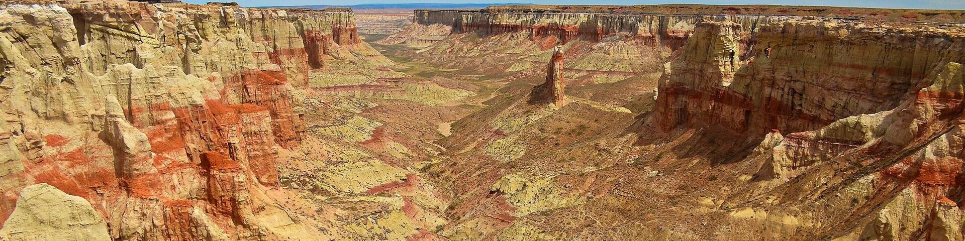 #Nature
Luckily I had the directions to Coal Mine this time, because there is no sign, it’s on private property and you can’t see it from the road. Between mileposts 363 and 364 you turn off onto someone’s property and aim between a two-storey house and a windmill. It’s okay, they’re about half a kilometre apart.
I pulled up beside a photogenic ruin and grabbed my gear. As I stood up, the attraction of Coal Mine became clear. It was everything I’d hoped for and more. The reality of it was simply that it was the finest canyon I’d ever seen.
Sure, it’s not as deep as the Grand Canyon, doesn’t have as many hoodoos as Bryce, doesn’t quite have the sheerness of Zion and has no more colour than Cottonwood Canyon Road; but, it has everything; all of those features crammed into one of the earth’s most magnificent compact canyons. Why it’s not a major attraction I don’t quite understand; perhaps it’s where it is that causes people to miss it. This would be backed up by the fact that other nearby canyons are rarely visited also. Perhaps it’s because this is distinctly Indian country, as was the Square Butte earlier. All along the main routes you see stalls selling jewellery. I couldn’t help but think if they got a bit entrepreneurial they could make an absolute killing by developing some of the sites.
Still, I was more interested in this washed out hole in the ground. It’s on the edge of the 120 mile wide Painted Desert. The colours were the like of which I’d never seen before in one geological place. I moved around to parts where you could get out to; couldn’t stop shaking my head at what was there in front of me. Weird shapes, the layer of coal that used to be mined almost on top, the patterns in the rocks; I didn’t know where to look first.
After I’d spent over an hour poking in here and there I worked my way further south until I came across the benches that someone has put there. However, to my despair, I noticed there’s also a rope-supported trail to the bottom just a bit further on. Physically, I hadn’t enough left in me to go down but, know when you go that it’s an option. If you want to get to this point first you should drive to the side where the windmill is.
I’ve read another report since on another site that indicates you can drive to two other access points as well, further down the road, but I was unaware of those at the time. Also, you’ll read that you are on Indian land and, from every bit of information I could glean, it’s Navajo up the top and Hopi down the bottom. I’d boldly suggest you do just what myself and most people do; just go there. I tried to contact the Hopi re a trip to Blue Canyon but ran up a dead end, so I gave up after that.
So, if you’re looking for a café and accommodation beside a major attraction, you’ve come to the wrong place. However, if it’s solitude and a wonderful natural experience that fits the bill, then look no further.