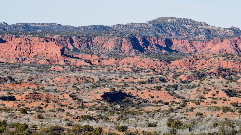 A desert landscape with red rock formations and sparse vegetation.