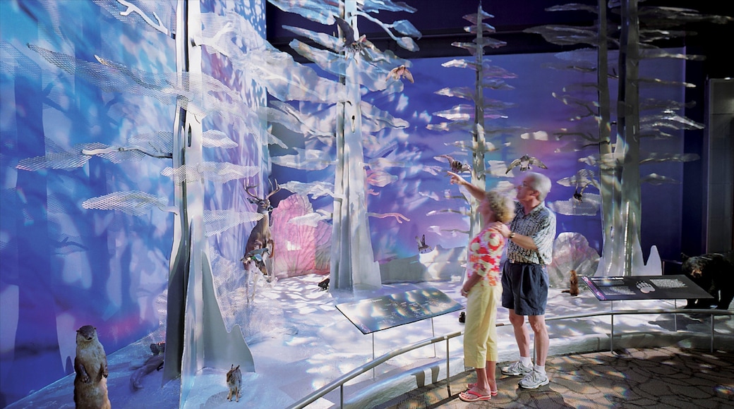 Tunica which includes interior views as well as a couple