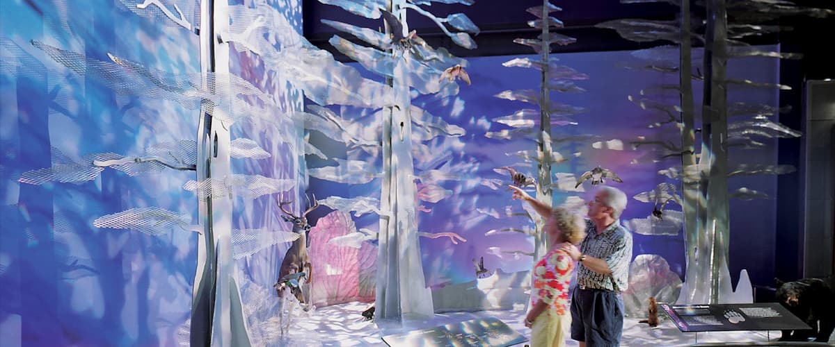 A museum exhibit with a large glass enclosure, a deer sculpture, and a bear statue.