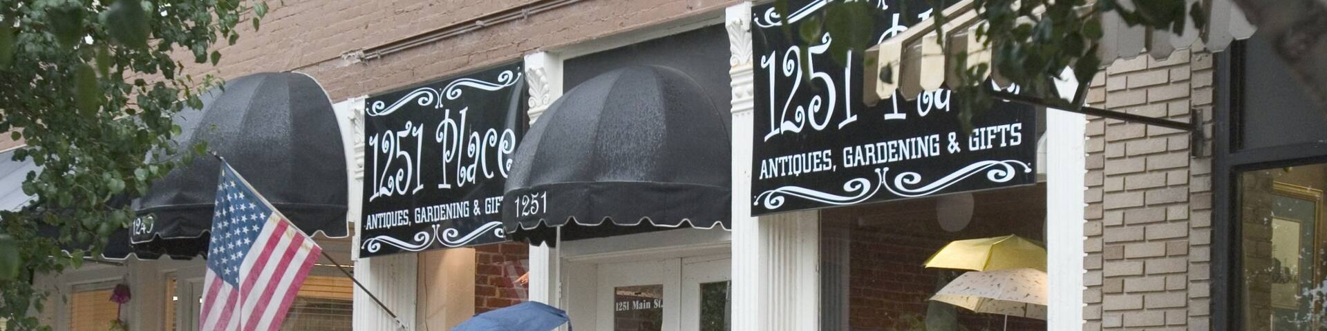 Tunica which includes a small town or village, street scenes and shopping