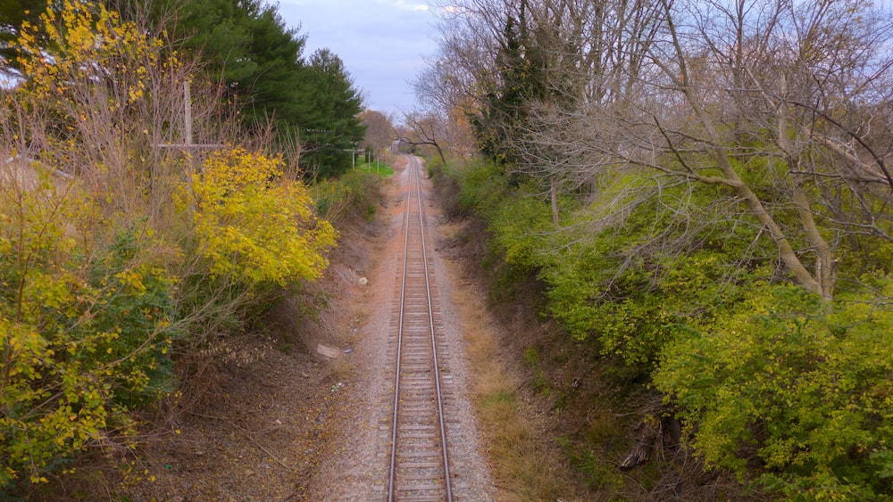 A railway track surrounded by autumn foliage.