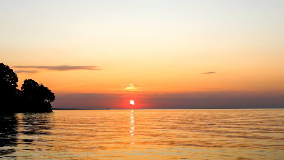 A sunset over a calm sea with a silhouette of trees on the left.