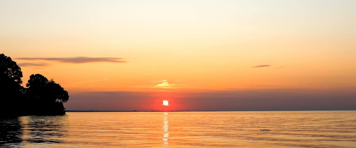 A sunset over a calm sea with a silhouette of trees on the left.