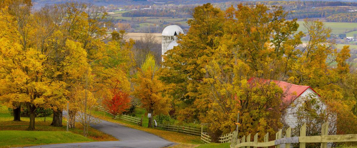 A rural landscape with autumn foliage, a white barn, and a silo.