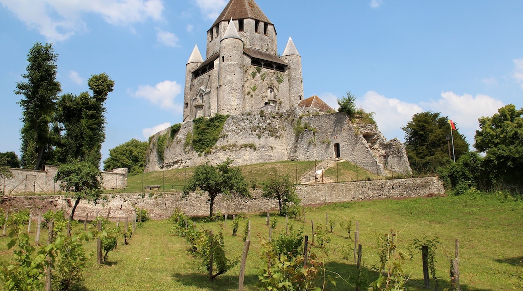 Provins (Île-de-France), the "Tour César" (XIIth century).
