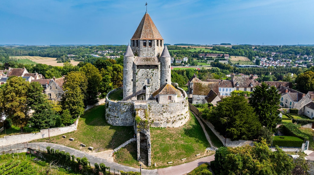 Cesar tower stands tall amid green fields and historic buildings in Provins, France