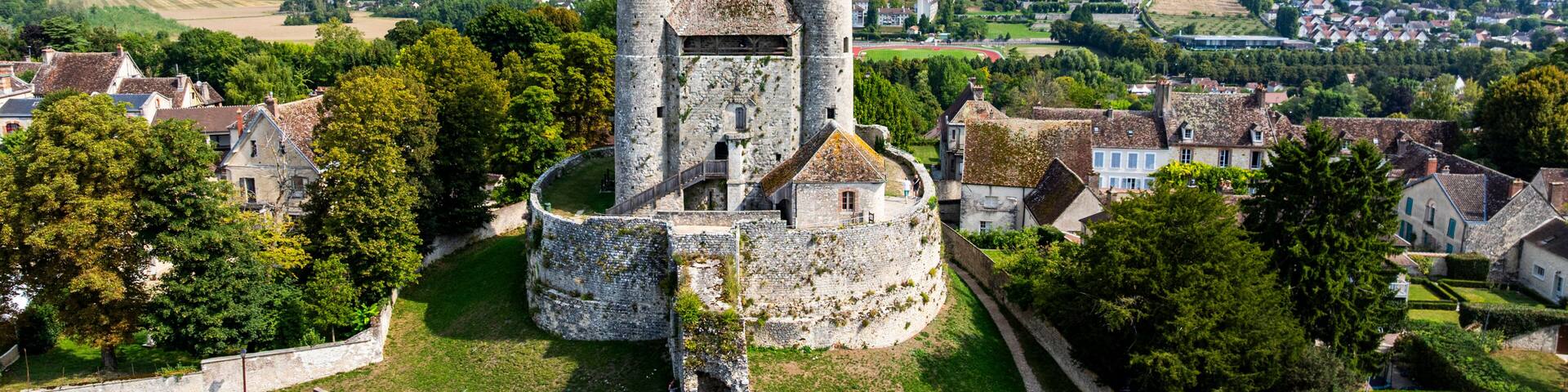 Cesar tower stands tall amid green fields and historic buildings in Provins, France
