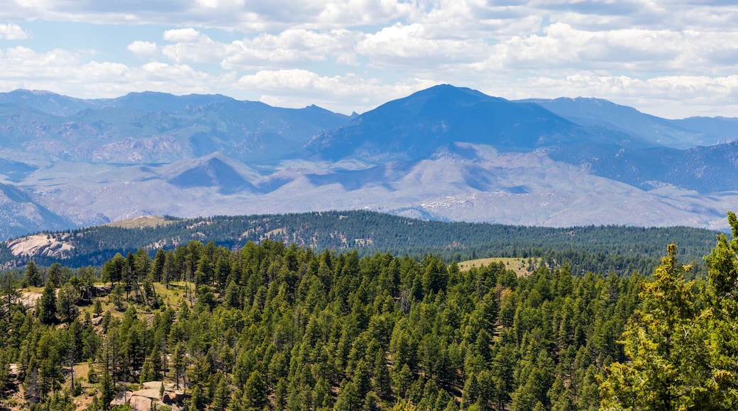 Scenic Colorado Mountain Landscape near Woodland Park, Colorado