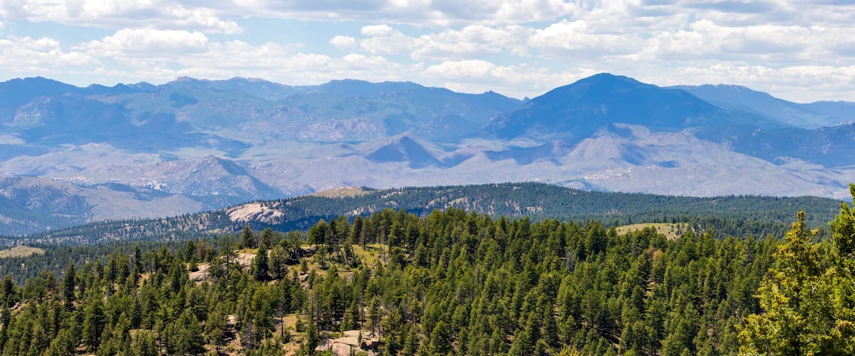 A mountain range with dense forests in the foreground and a clear sky.